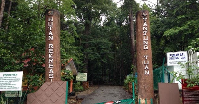 Tanjung Tuan Recreational Forest