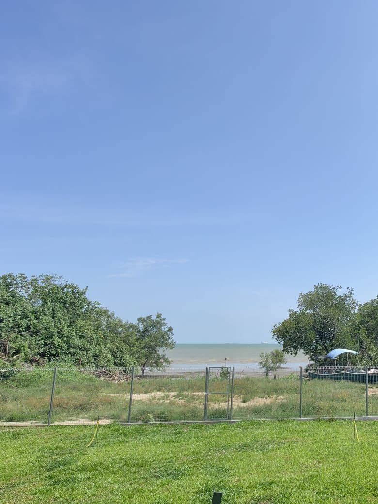 Large Backyard